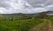 Trail Walking Nancy - Muguet  - Photo 3