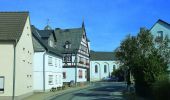 Tour Zu Fuß Mengerschied - Traumschleife Soonwald - Photo 4