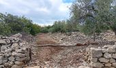 Excursión Senderismo Saint-Paul-le-Jeune - randonnee des combes blancs - Photo 16