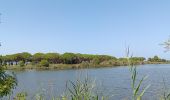 Trail Walking Saint-Cyprien - st cyprien de merde - Photo 14