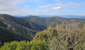 Trail Walking Collobrières - Verne - plateau Lambert - Photo 8