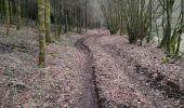 Excursión Senderismo Vresse-sur-Semois - Marche ADEPS 10KM à  Nafraìture. - Photo 3