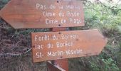 Trail Walking Saint-Martin-Vésubie - Cime de Piagu. Boreon - Photo 9