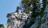 Tour Wandern Saint-Agnan-en-Vercors - Les Rancs de Charles - Vercors - La Coche - Photo 13