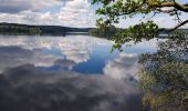 Tocht Noords wandelen Moux-en-Morvan - Settons - Photo 1