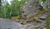 Tocht Stappen Fontainebleau - Bourron-Marlotte sentier Denecourt 11 - Photo 2