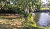 Excursión Senderismo Valorbiquet - St Cyr du Ronceray - Fervaques - Cheffreville - Photo 4