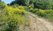 Percorso A piedi Sconosciuto - Niebieski szlak spacerowy - Photo 8