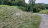 Tour Wandern Ciney - Braibant 060722 - Photo 8