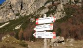 Tour Zu Fuß Valli del Pasubio - Sentiero dell'Emmele - Photo 4