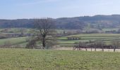 Tocht Stappen Limburg - A la découverte de Limbourg  - Photo 20