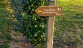 Trail Walking Bousbecque - Bousbecque automne 2021 - Photo 1