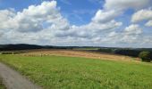 Randonnée Marche Rambrouch - au pays de l ardoise  - Photo 6