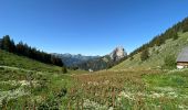 Tocht Stappen La Chapelle-d'Abondance - Rando 1 abondance  - Photo 1