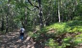 Trail Walking Lyas - Lyas  la Neuve  azur - Photo 7