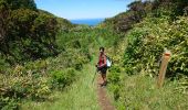 Percorso Marcia Cedros -  caldeira Faial - Photo 14