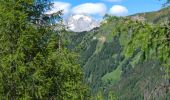 Randonnée Marche Selva di Cadore - Pian Di Possoliva - Photo 12