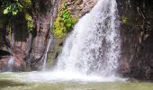 Tocht Stappen Petit-Bourg - Guadeloupe - Saut de la Lézarde - Photo 6