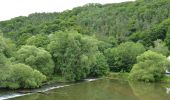 Tour Zu Fuß Gemeinde Hardegg - Thayatalweg - Variante Umlaufberg - Photo 1