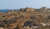 Tour Wandern Penvénan - Port blanc - Pointe du Château  - Photo 11