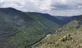 Randonnée Marche Gorges du Tarn Causses - Mas Andre/ Tonnas - Photo 1