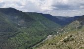 Tour Wandern Gorges du Tarn Causses - Mas Andre/ Tonnas - Photo 1