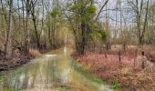 Tour Wandern Moret-Loing-et-Orvanne - Boucle Moret sur Loing - Montigny sur Loing + Forêt de Fontainebleau - Photo 2