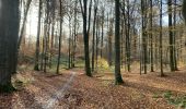 Trail Mountain bike Uccle - Ukkel - Château de La Hulpe - Photo 1
