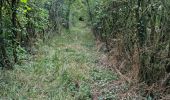 Trail Walking Marray - Marray - Les versants de la Dême - Photo 15