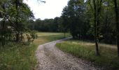 Tour Wandern Havelange - Bois, Rivière et champs - Photo 15