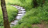 Trail Walking Girmont-Val-d'Ajol - herival - Photo 4