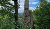 Randonnée Marche Bourscheid - Escapardenne Lee Trail: Moulin de Bourscheid - Hoscheid - Photo 12