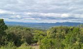 Excursión Senderismo Aniane - entre vignes et forêts  - Photo 2