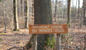 Trail Walking Baelen - 2022.03.05 ENEO Membach Perkierts - Photo 13