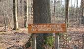 Trail Walking Baelen - 2022.03.05 ENEO Membach Perkierts - Photo 13