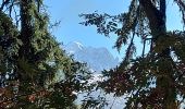 Tocht Stappen Chamonix-Mont-Blanc - 20231011 Montroc Le Tour - Photo 6