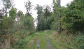 Percorso A piedi Sconosciuto - Kassel, Rundweg 10 - Photo 1