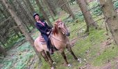 Trail Horseback riding Roybon - Roybon  - Photo 13