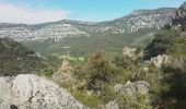 Trail Walking Saint-Jean-de-Buèges - St Jean de Buèges Pégayrole - Photo 14