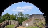 Excursión Senderismo Herbeumont - Herbeumont et son château  - Photo 4