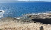 Tocht Stappen Patrimonio - sentier du littoral de St Florent à Punta di Saeta - Photo 8