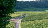 Randonnée A pied Wormeldange - Traumschleife Wein- und Naturpfad Palmberg Ahn - Photo 10