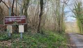 Trail Walking Crugny - Crugny du 30/03/2025 - Photo 14