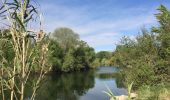 Trail Walking Lignan-sur-Orb - Sur les rives de l'Orb - Pont de Tabarka - Pont de Cazouls - Photo 7