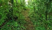 Trail Walking Limerzel - Limerzel Sentier du Sillon - Photo 20