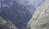 Tocht Noords wandelen Villard-de-Lans - gorges de la Bourne - Photo 3