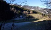 Tour Wandern Lans-en-Vercors - bec de l'aigle cascade du bruyant - Photo 2