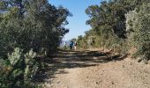 Tocht Stappen Hyères - les Borel les 2 - Photo 4