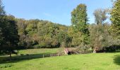 Tocht Stappen Comblain-au-Pont - oneux . comblain-la-tour . oneux - Photo 10