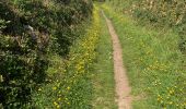 Trail Walking Plouguerneau - Wrach - Photo 1